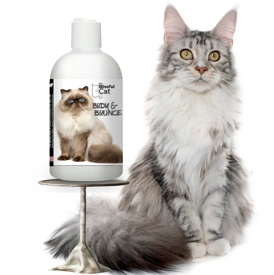 Blissful Cat Body & Bounce Shampoo for Coats That Need Love