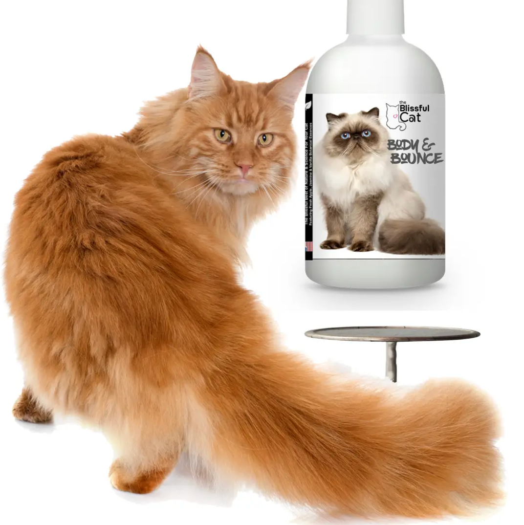 Blissful Cat Body & Bounce Shampoo for Coats That Need Love