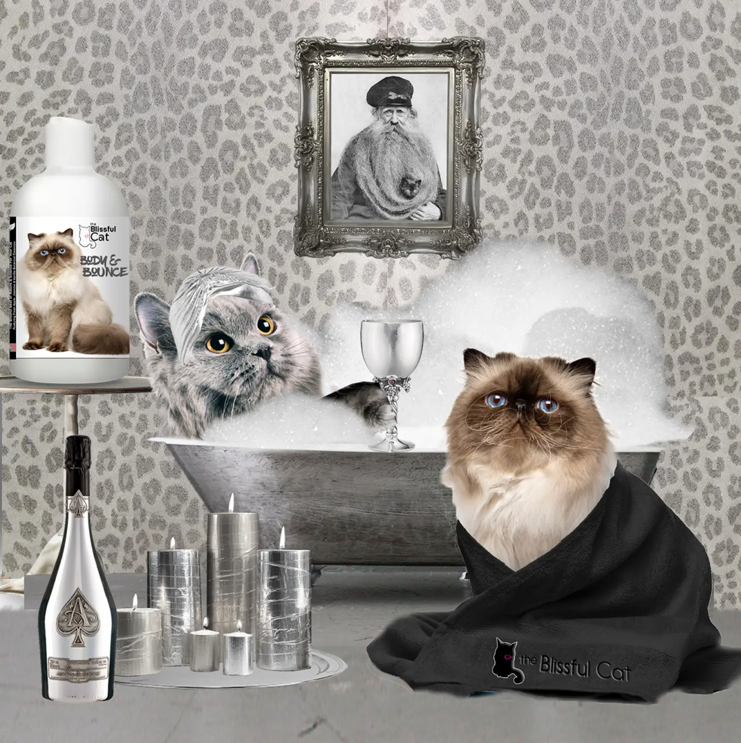 Blissful Cat Body & Bounce Shampoo for Coats That Need Love