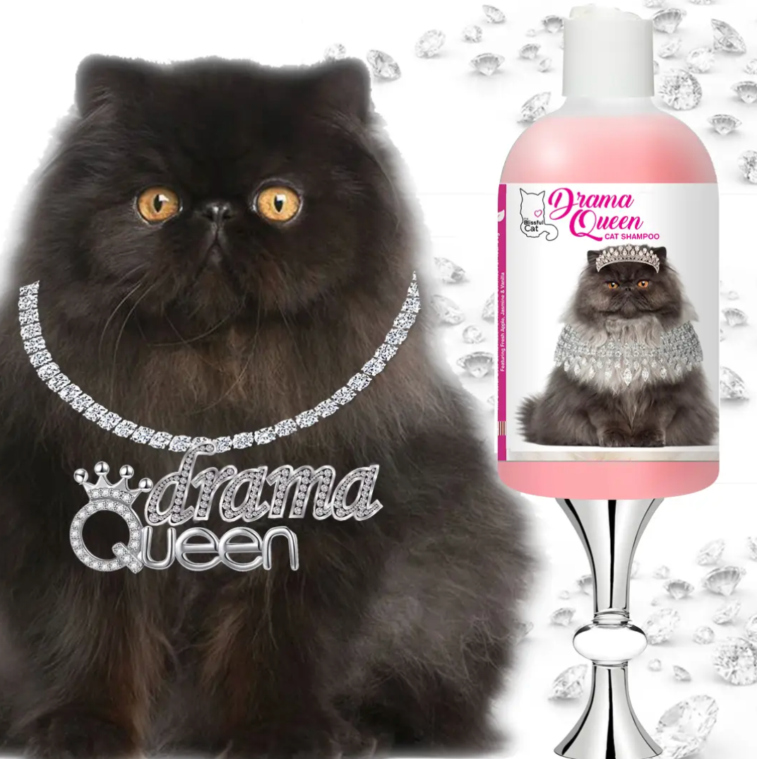 Blissful Cat Drama Queen Shampoo for Over-the-Top Divas