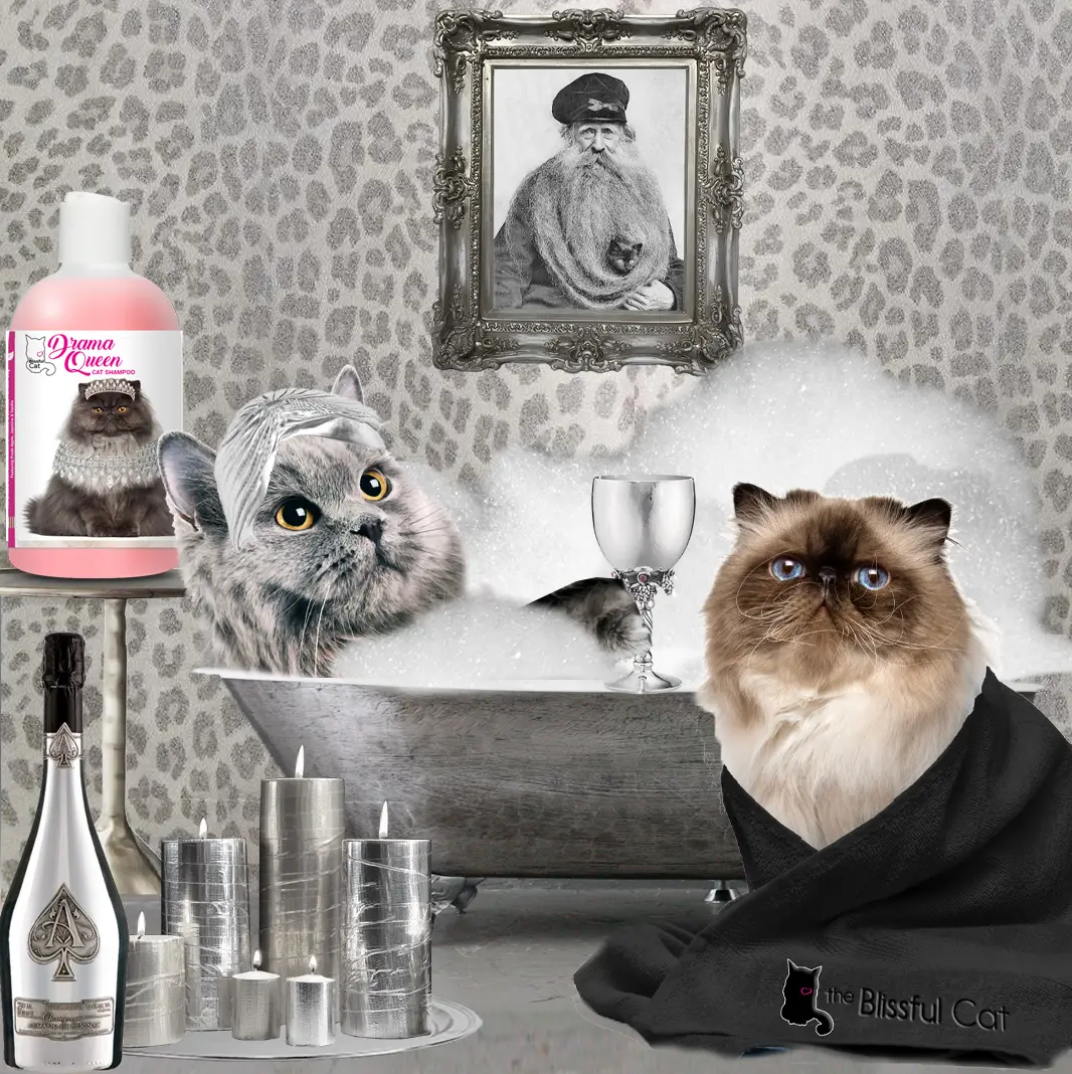 Blissful Cat Drama Queen Shampoo for Over-the-Top Divas