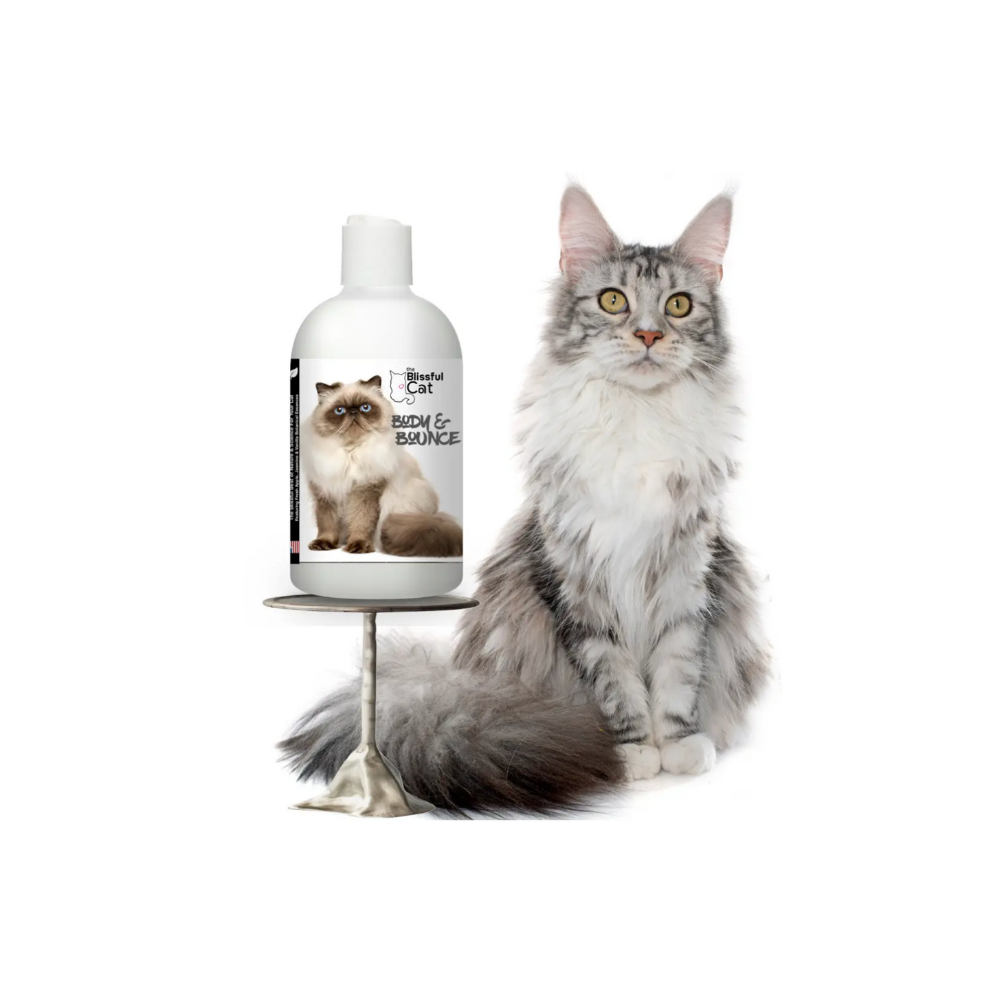 Blissful Cat Body & Bounce Shampoo for Coats That Need Love