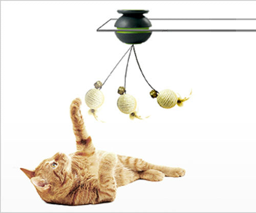 FroliCat SWAY