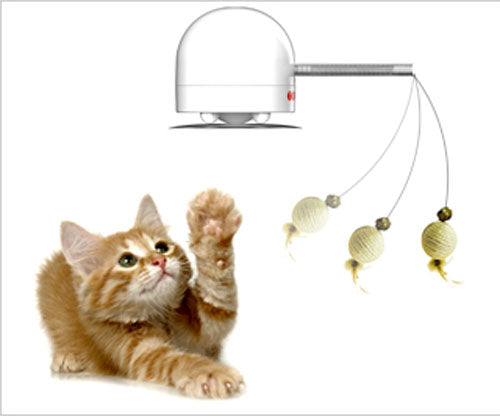 Frolicat Twitch