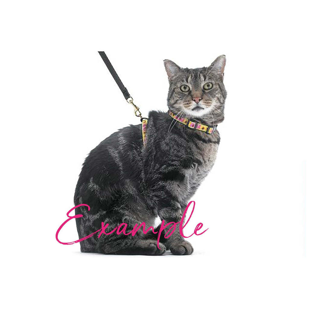 Bee cat collar sale
