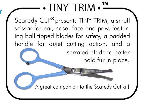 Scaredy cut scissors store